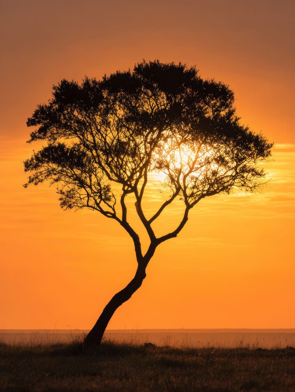 Tableau Arbre de Vie Savane