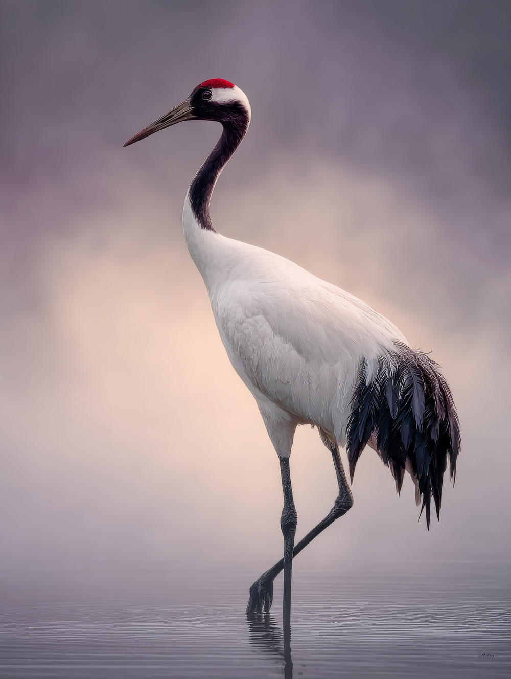 Tableau Grue Japonaise