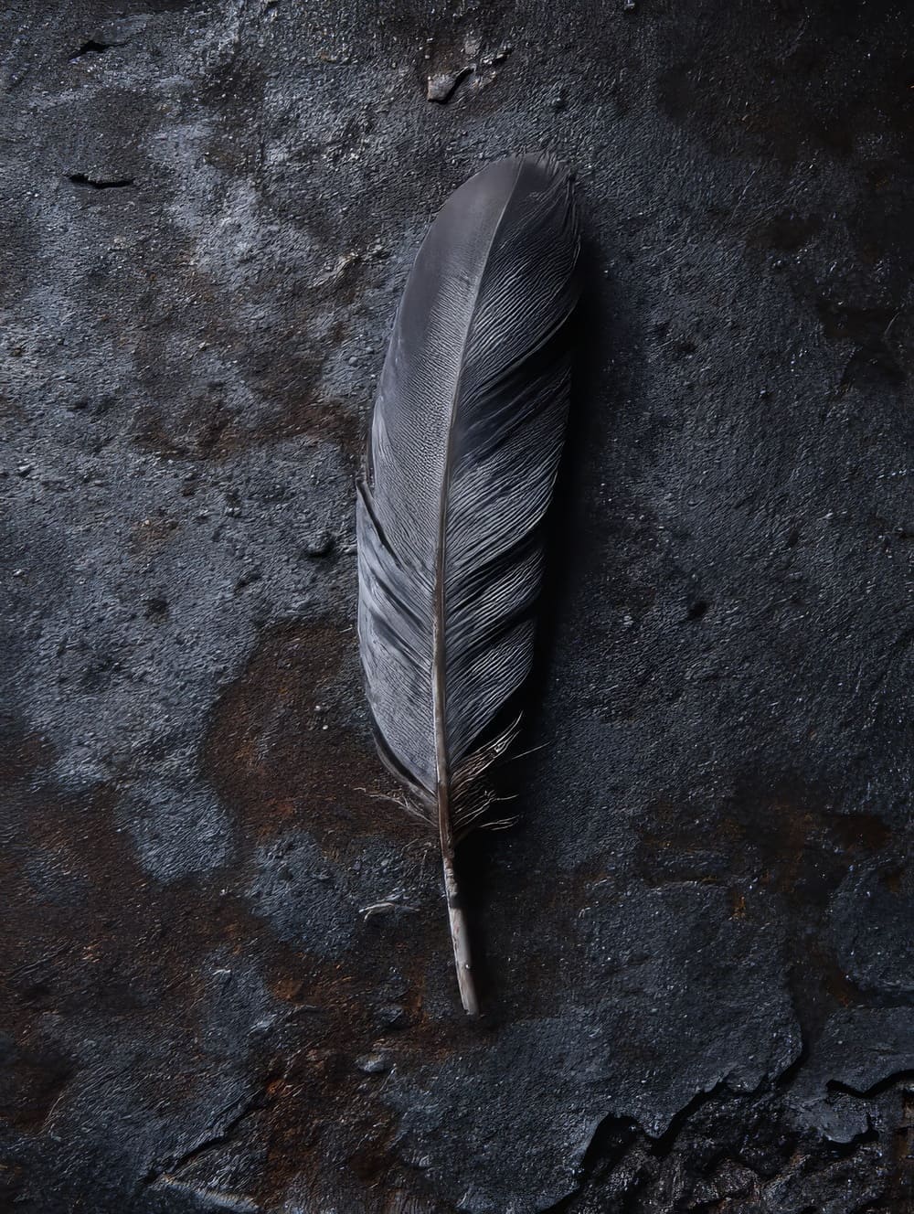 Tableau Plume Style Industriel