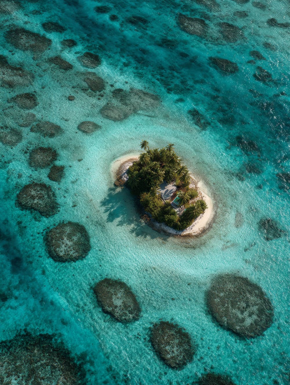 Tableau Tahiti Motu (Îlot) Vu D’En Haut