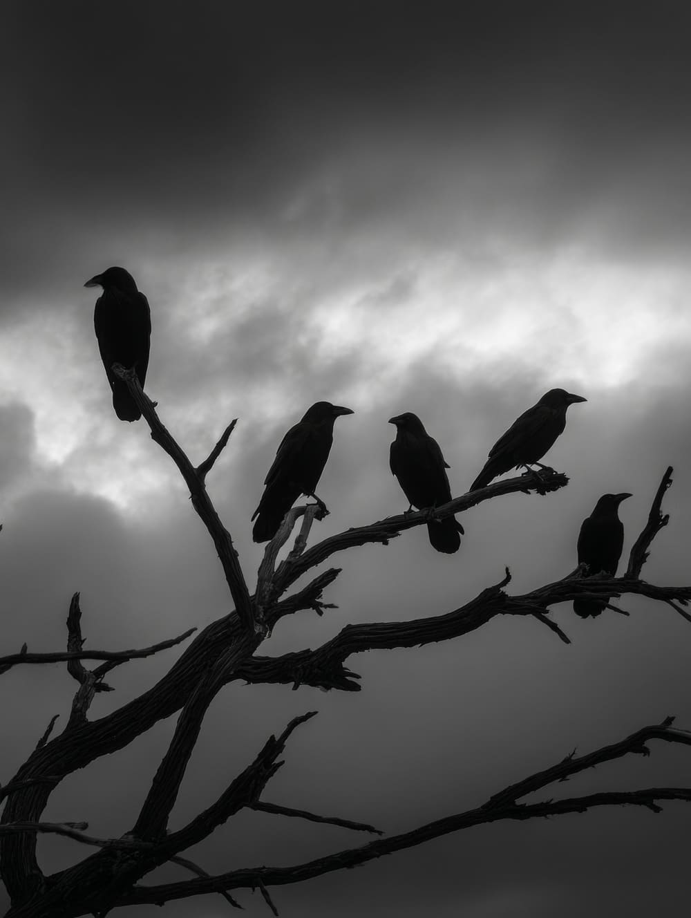 Tableau Corbeaux Sur Branches Mortes