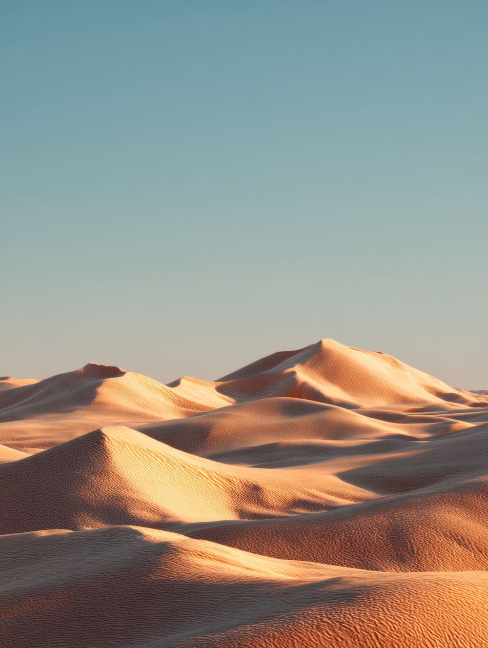 Tableau Désert Marocain (Dunes Sobres)
