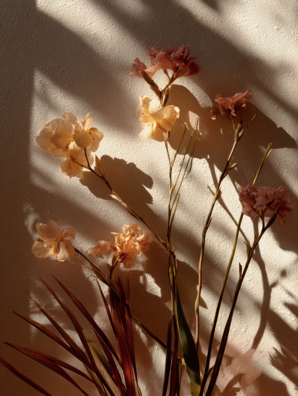 Tableau Fleurs Et Ombres Végétales