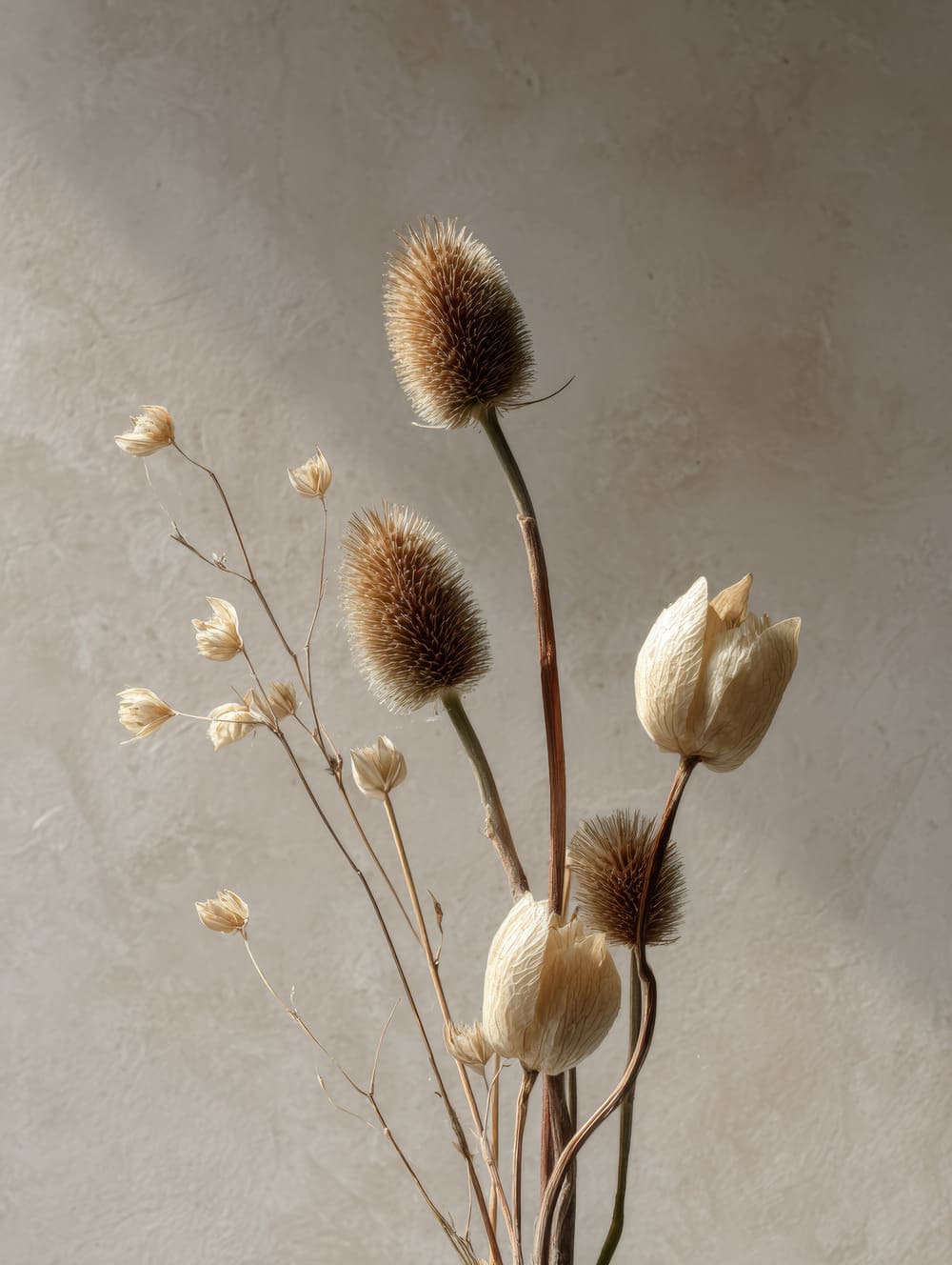 Tableau Fleurs Séchées Minimalistes