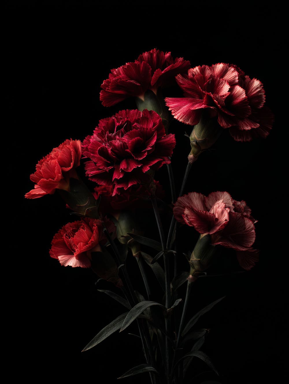 Tableau Fleurs Sombres Sur Fond Noir