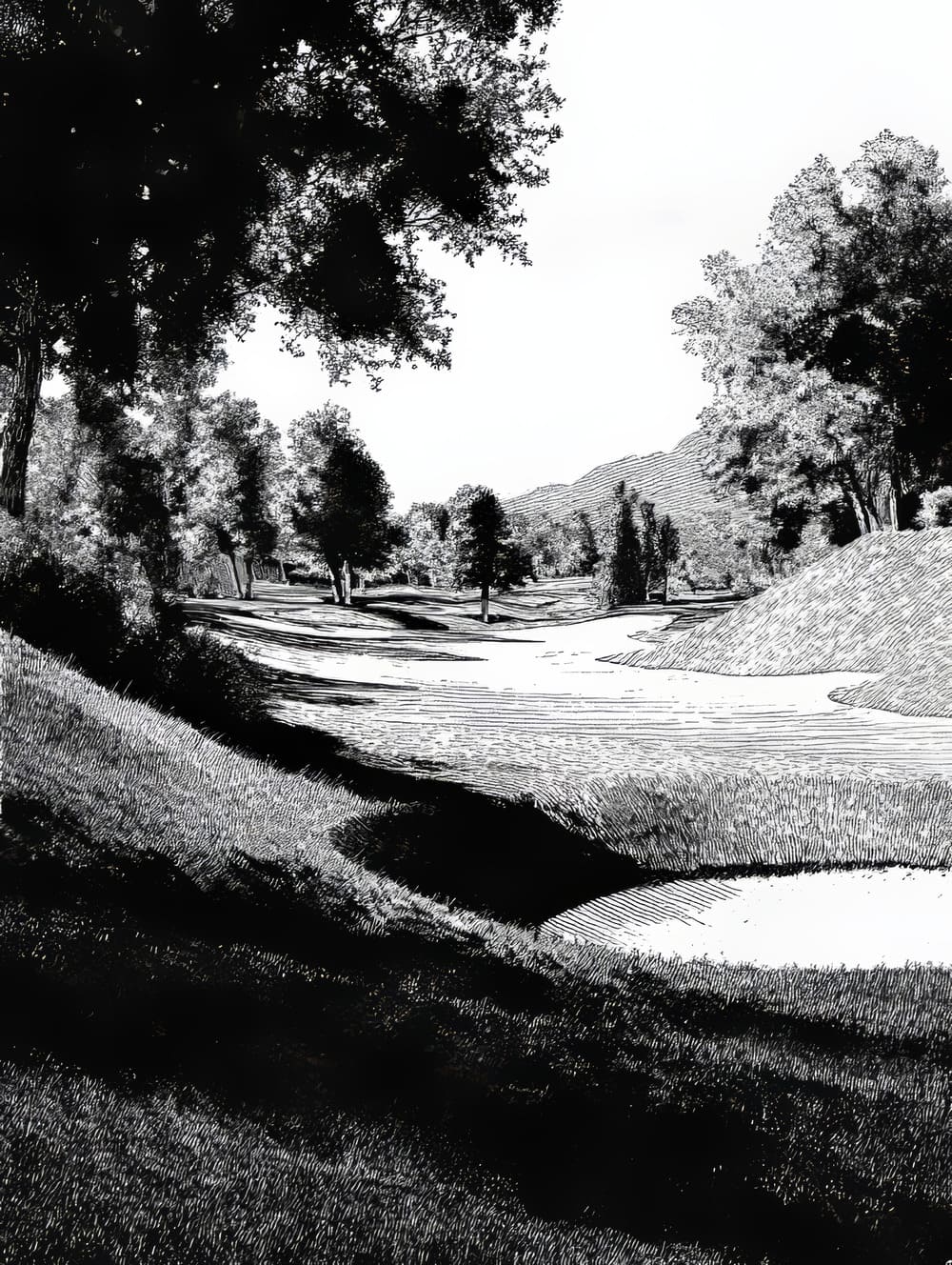 Tableau Golf En Noir & Blanc (Texture & Lignes)