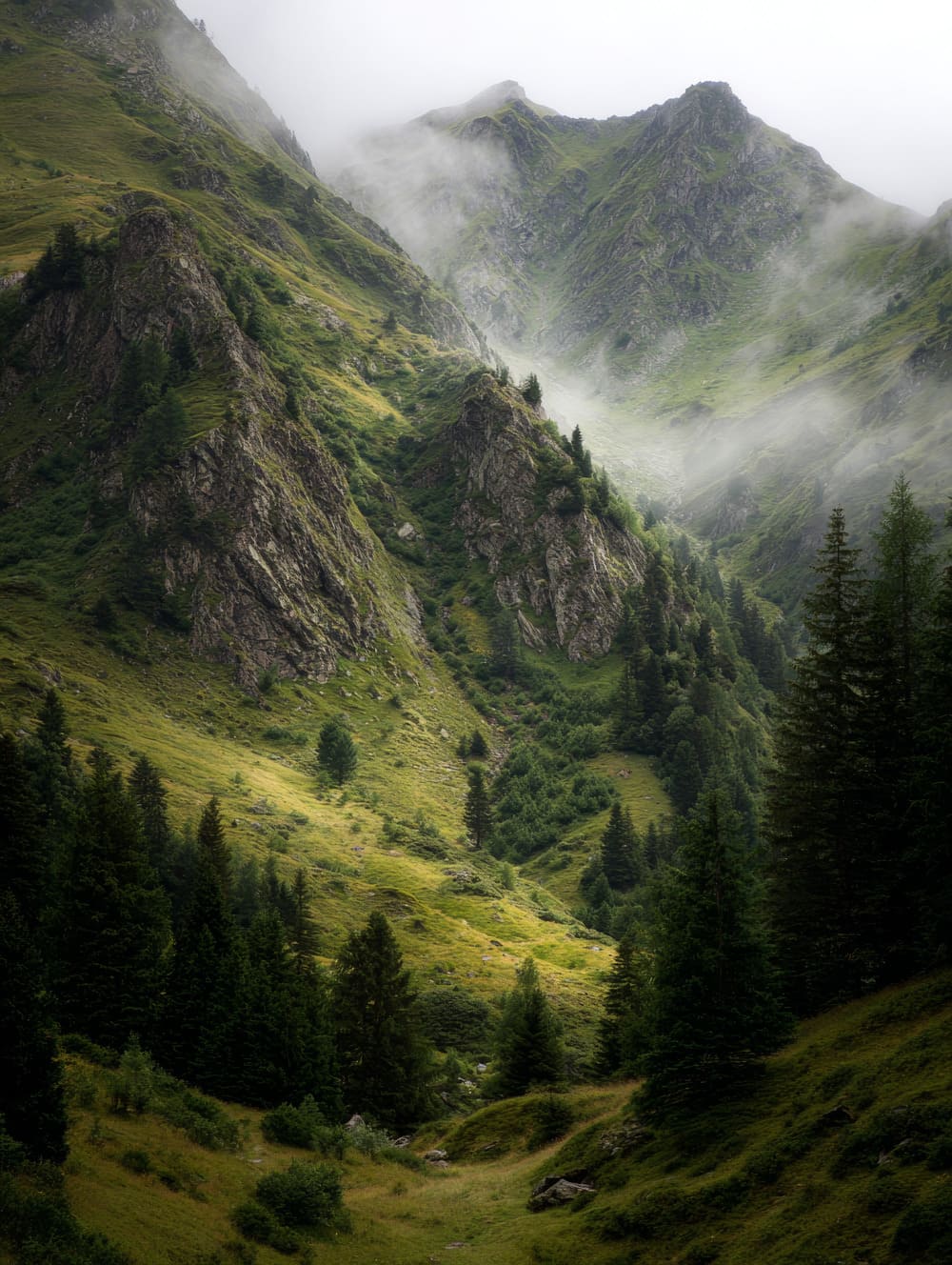 Tableau Montagne Sauvage Sans Trace Humaine