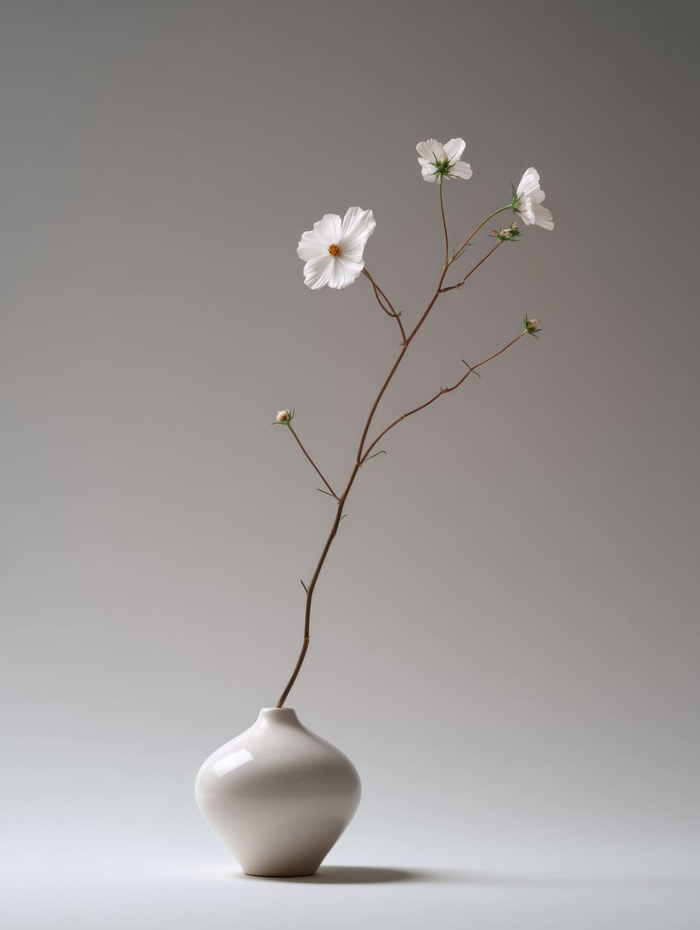 Tableau Nature Morte Florale Minimaliste