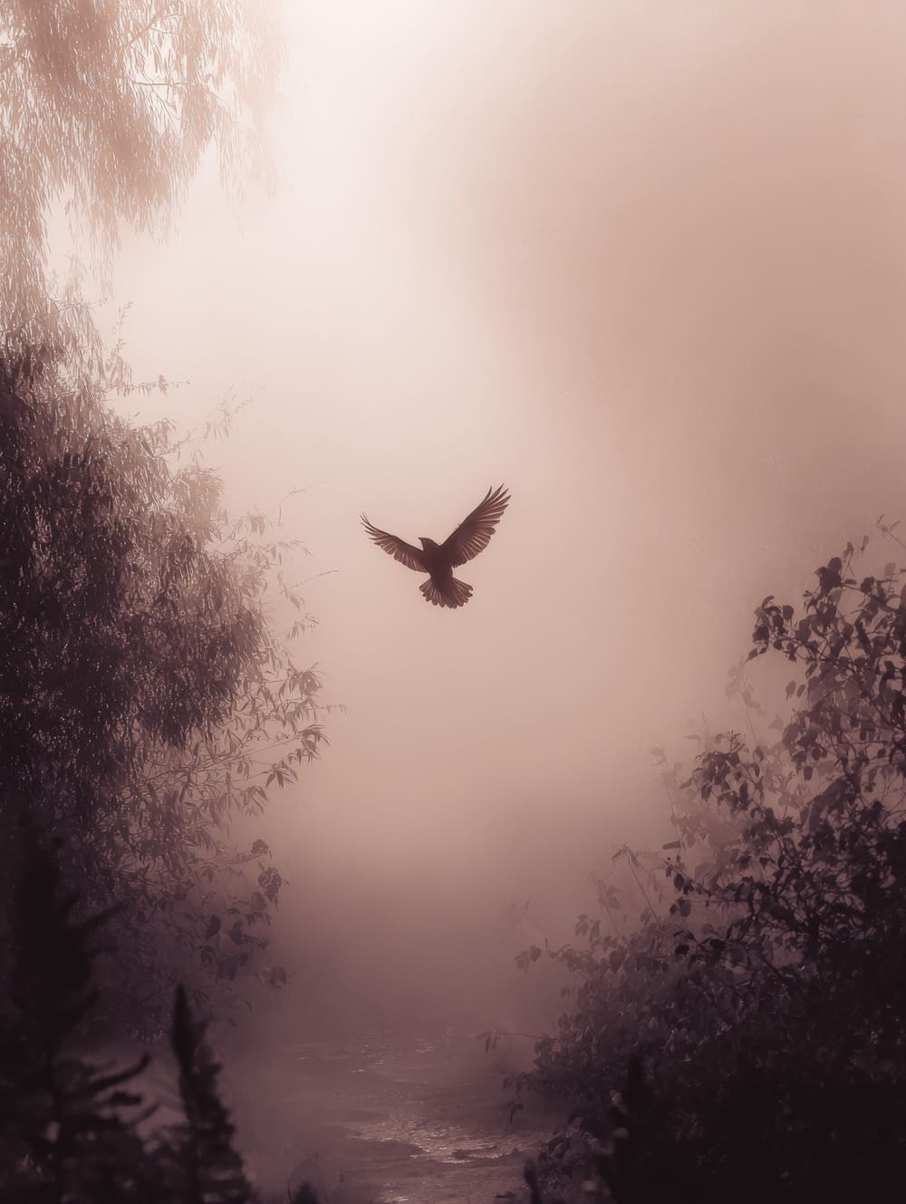 Tableau Oiseau Dans La Brume