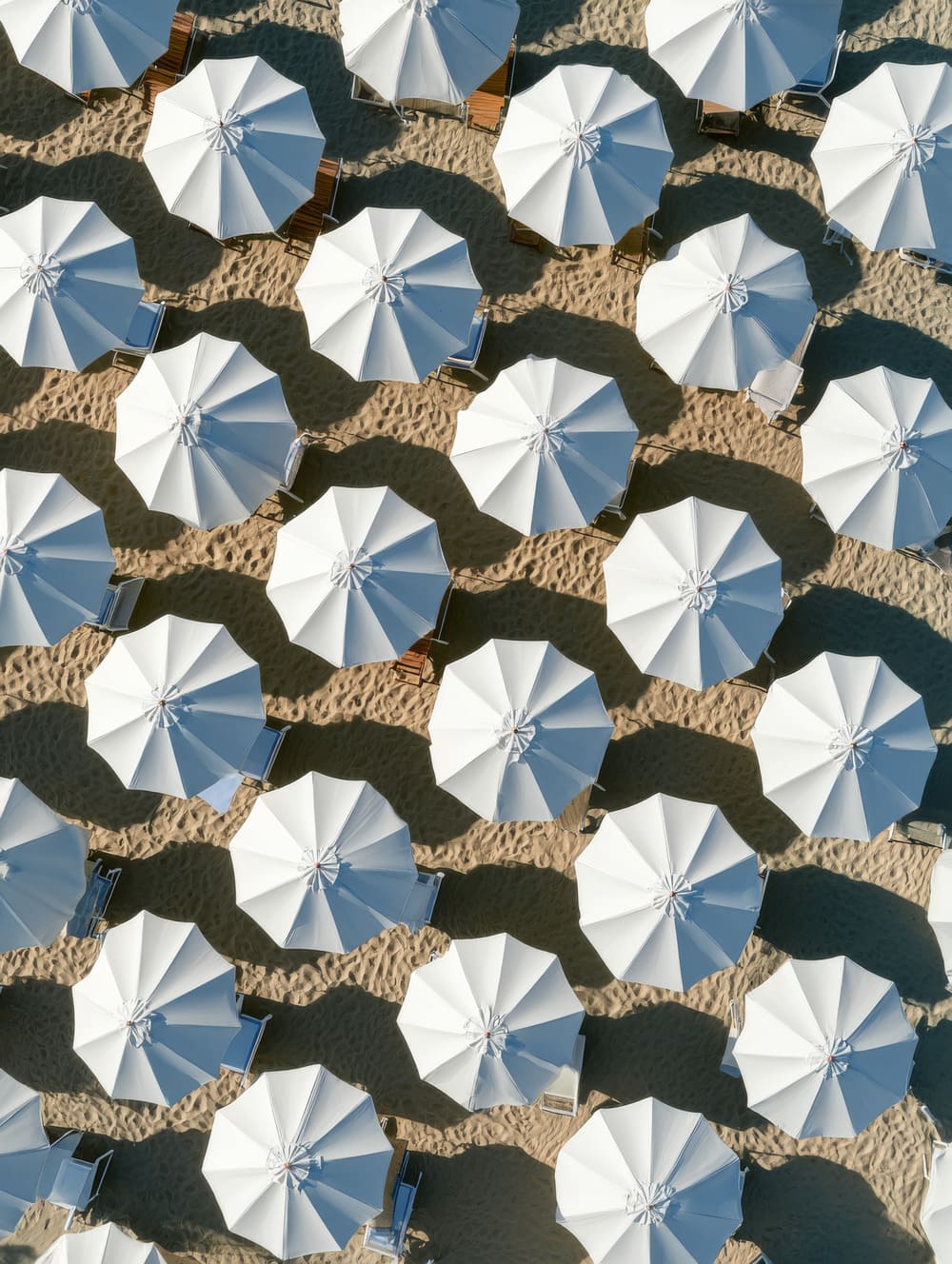 Tableau Parasols Blancs Alignés (Vue Graphique)