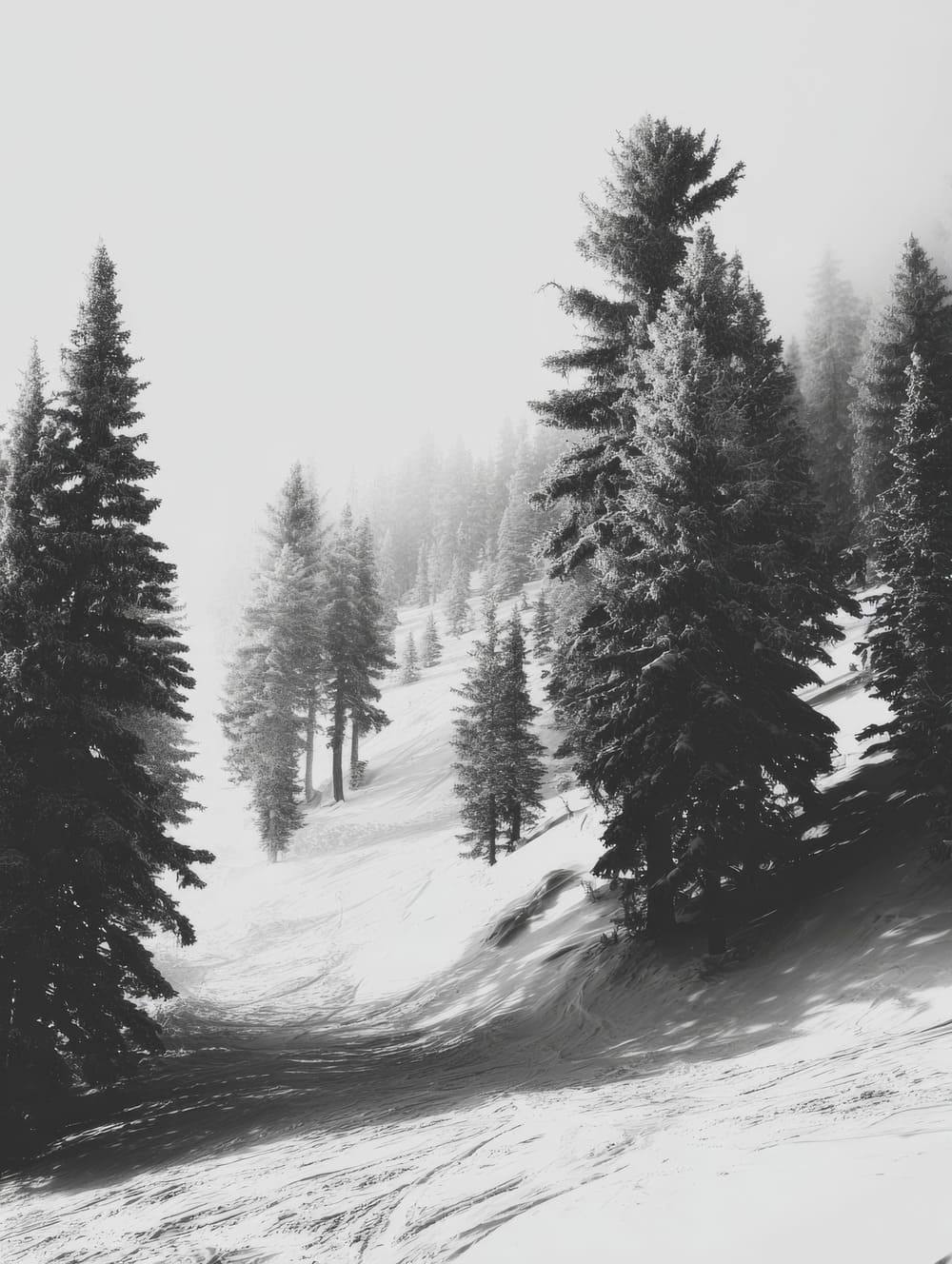 Tableau Ski En Noir & Blanc (Grain Froid)