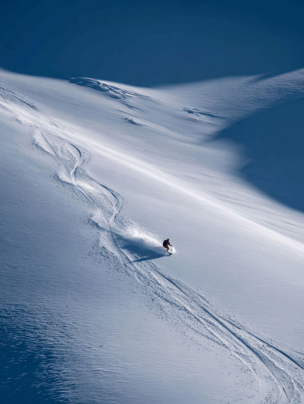 Tableau Skieur Solitaire Sur Pente Vierge