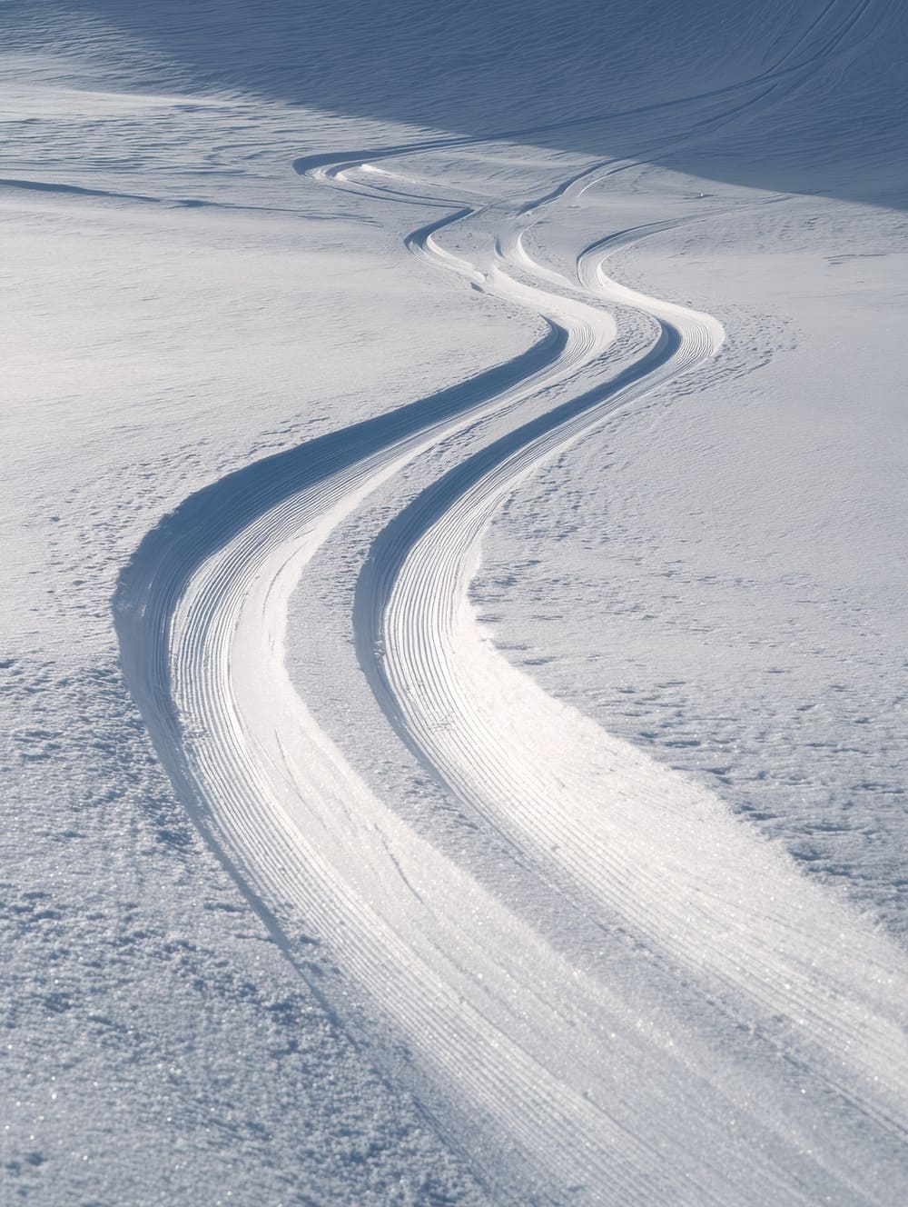 Tableau Traces De Ski Dans La Neige Fraîche