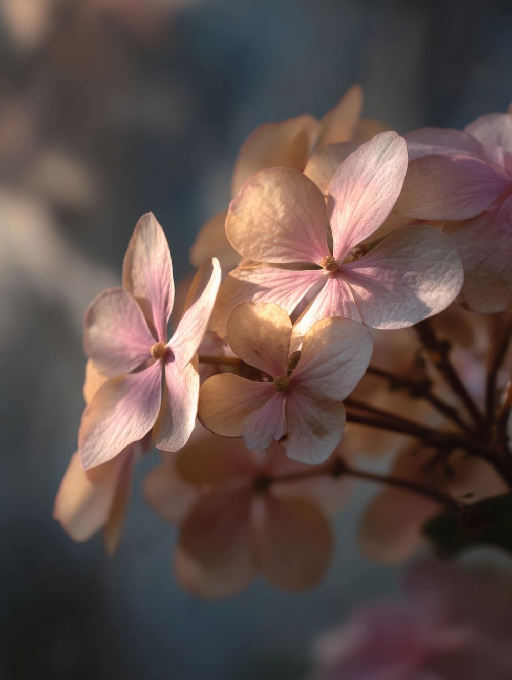Tableau Fleurs & Lumière Naturelle