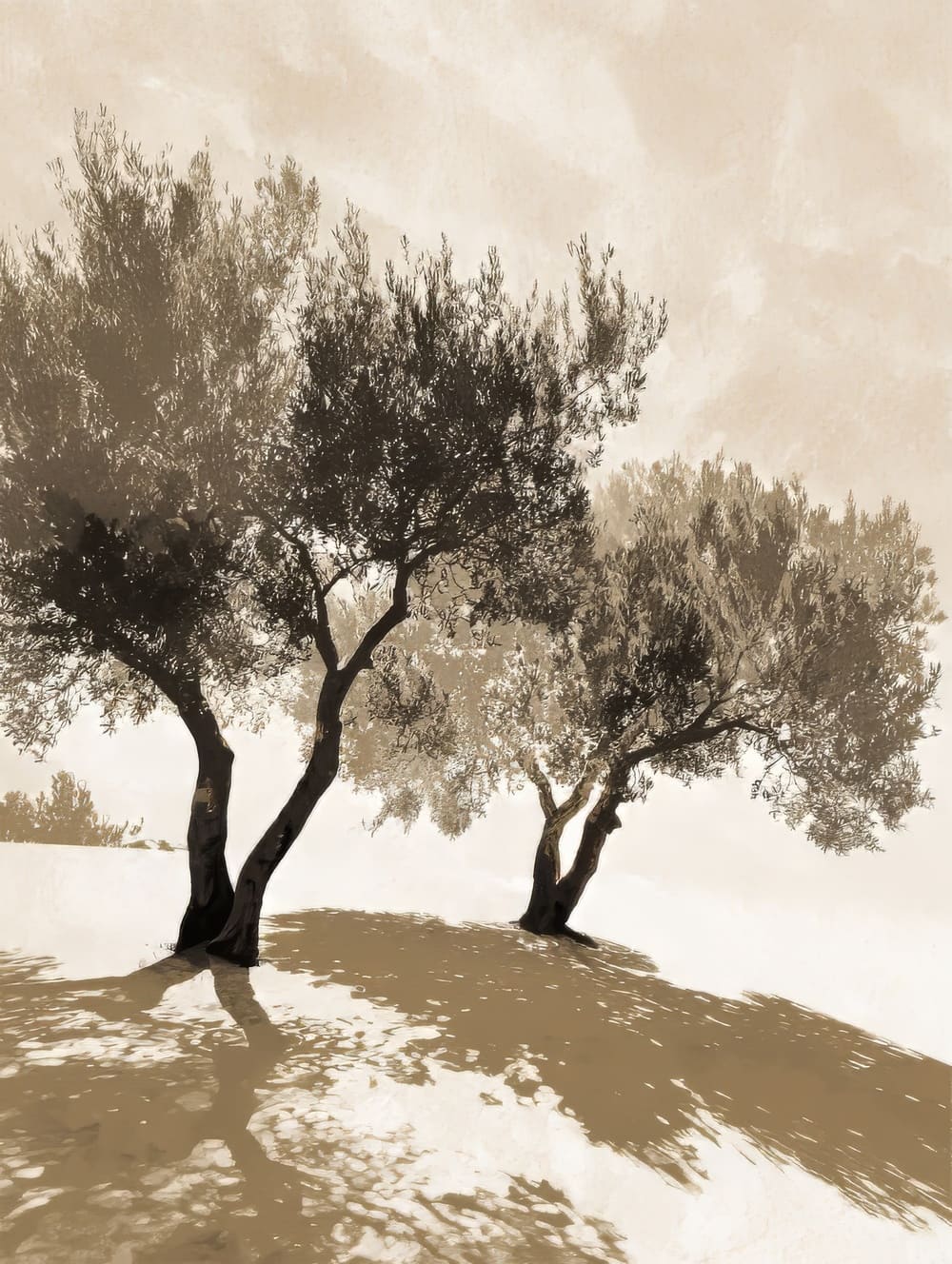 Tableau Oliviers Minimalistes