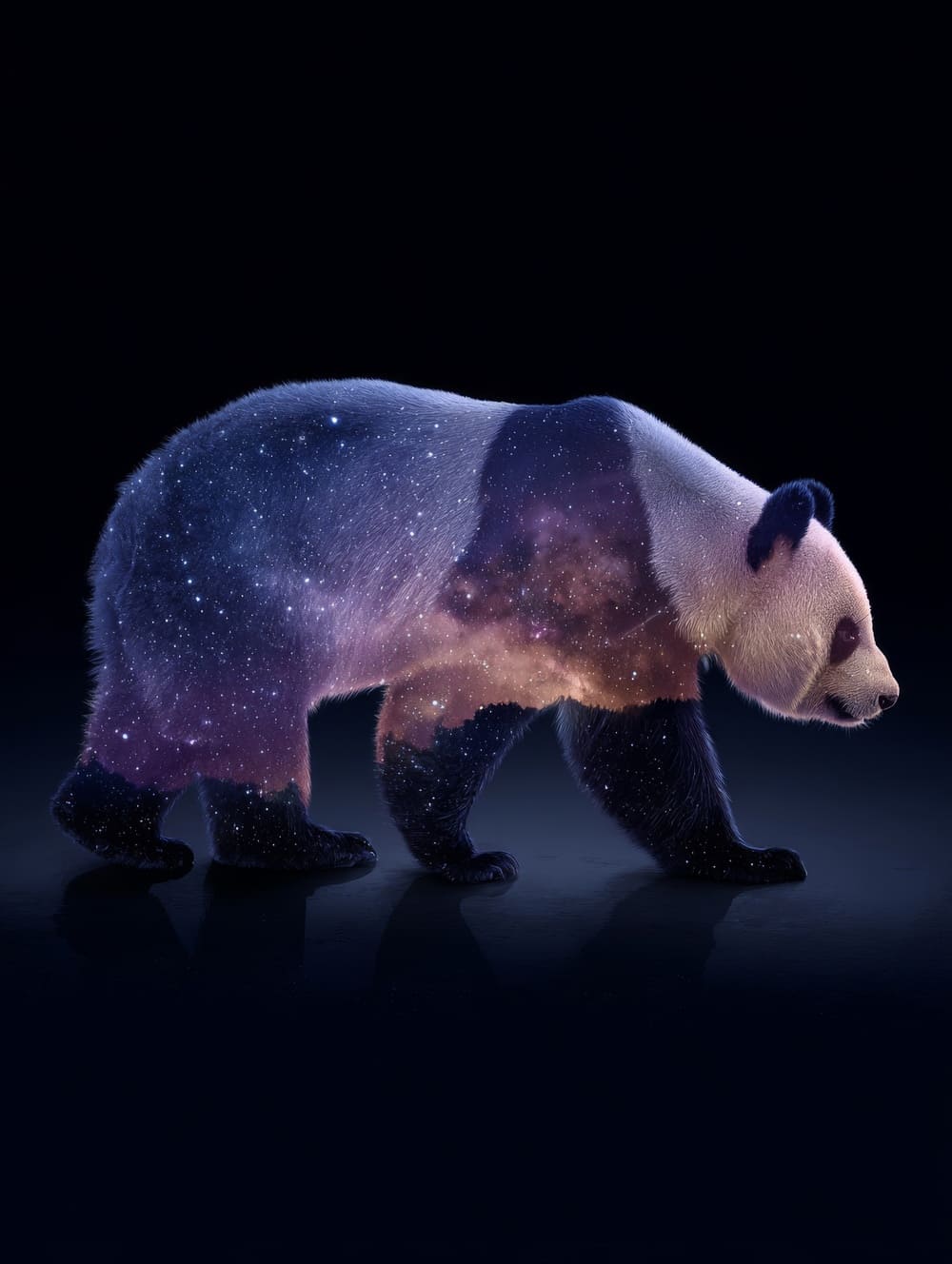 Tableau Panda Galaxie Cosmique