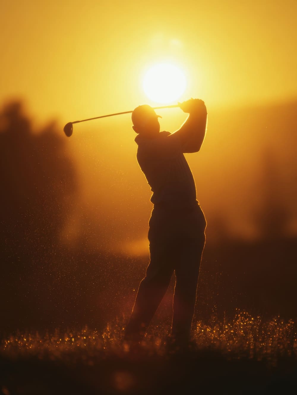 Tableau Swing Parfait au Lever du Soleil