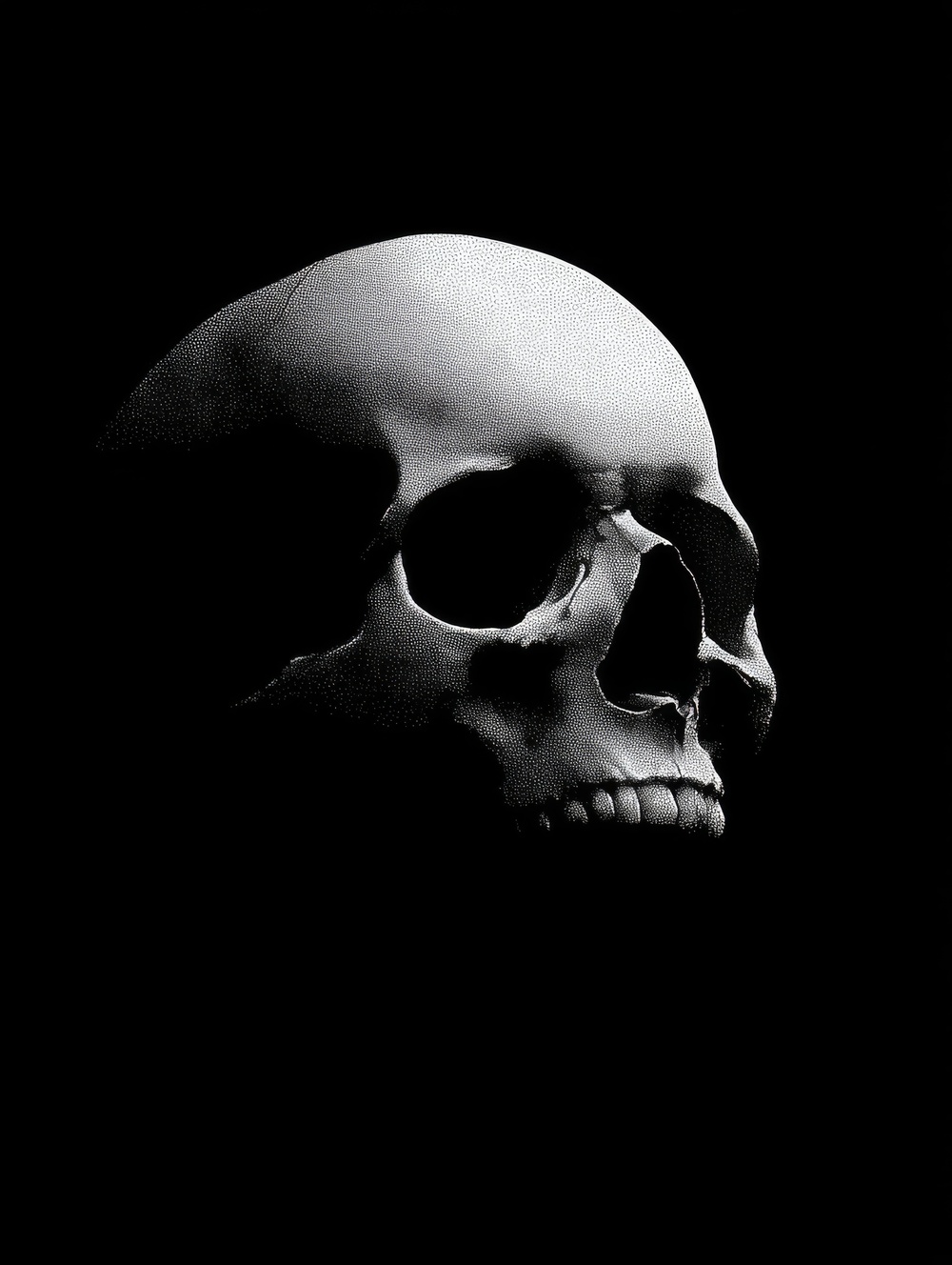 Tableau Tête de Mort Monochrome